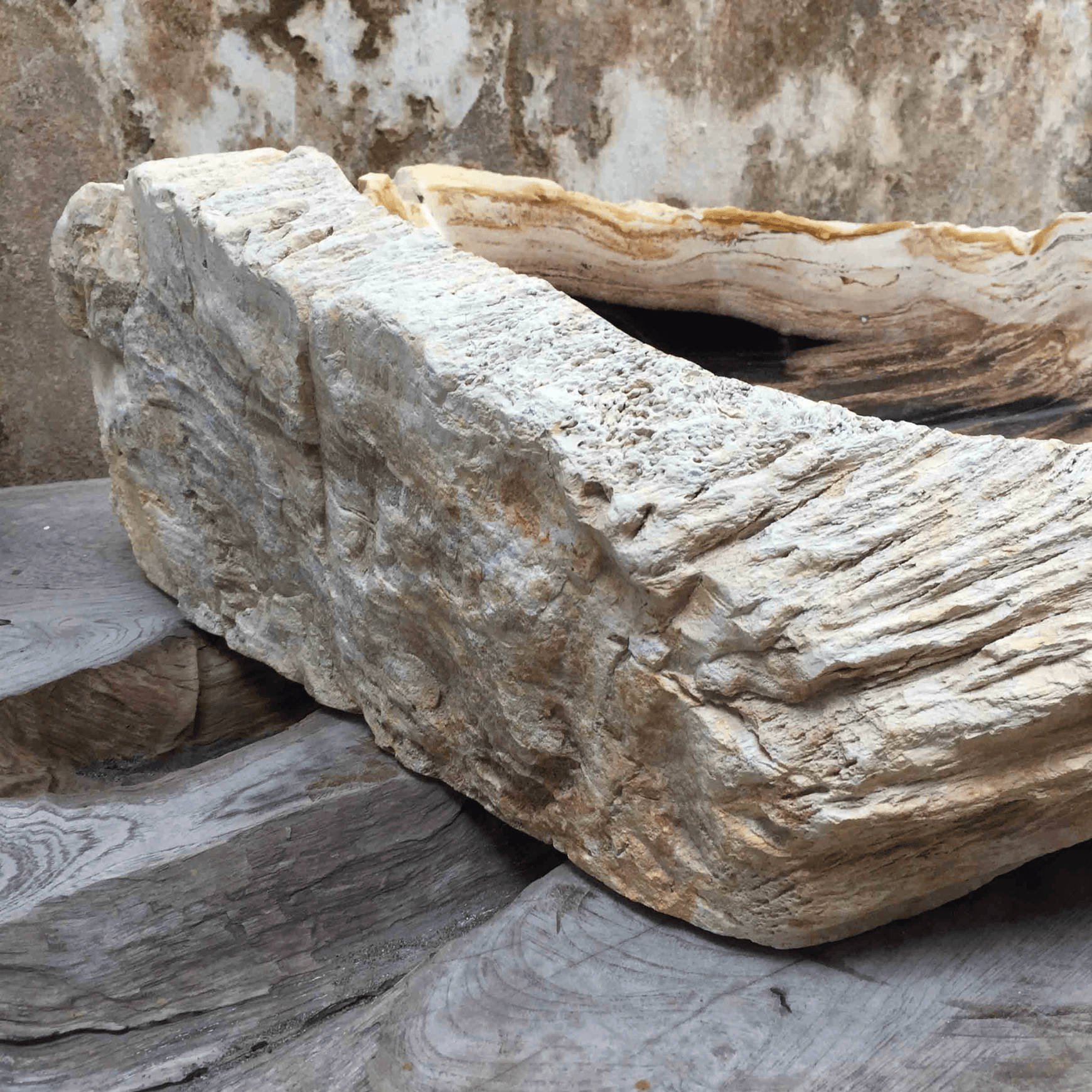 Petrified Wood Stone Basin