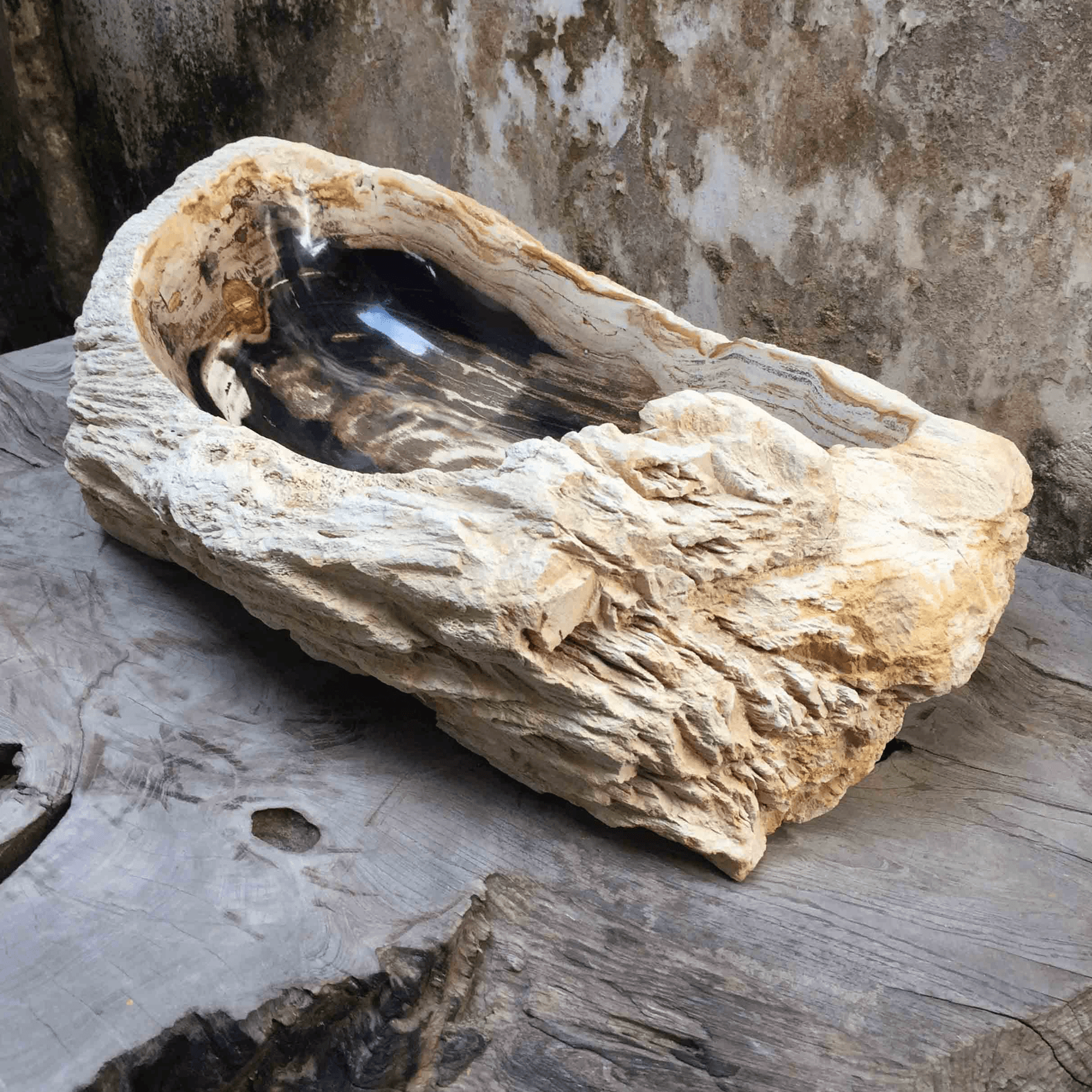 Petrified Wood Stone Basin