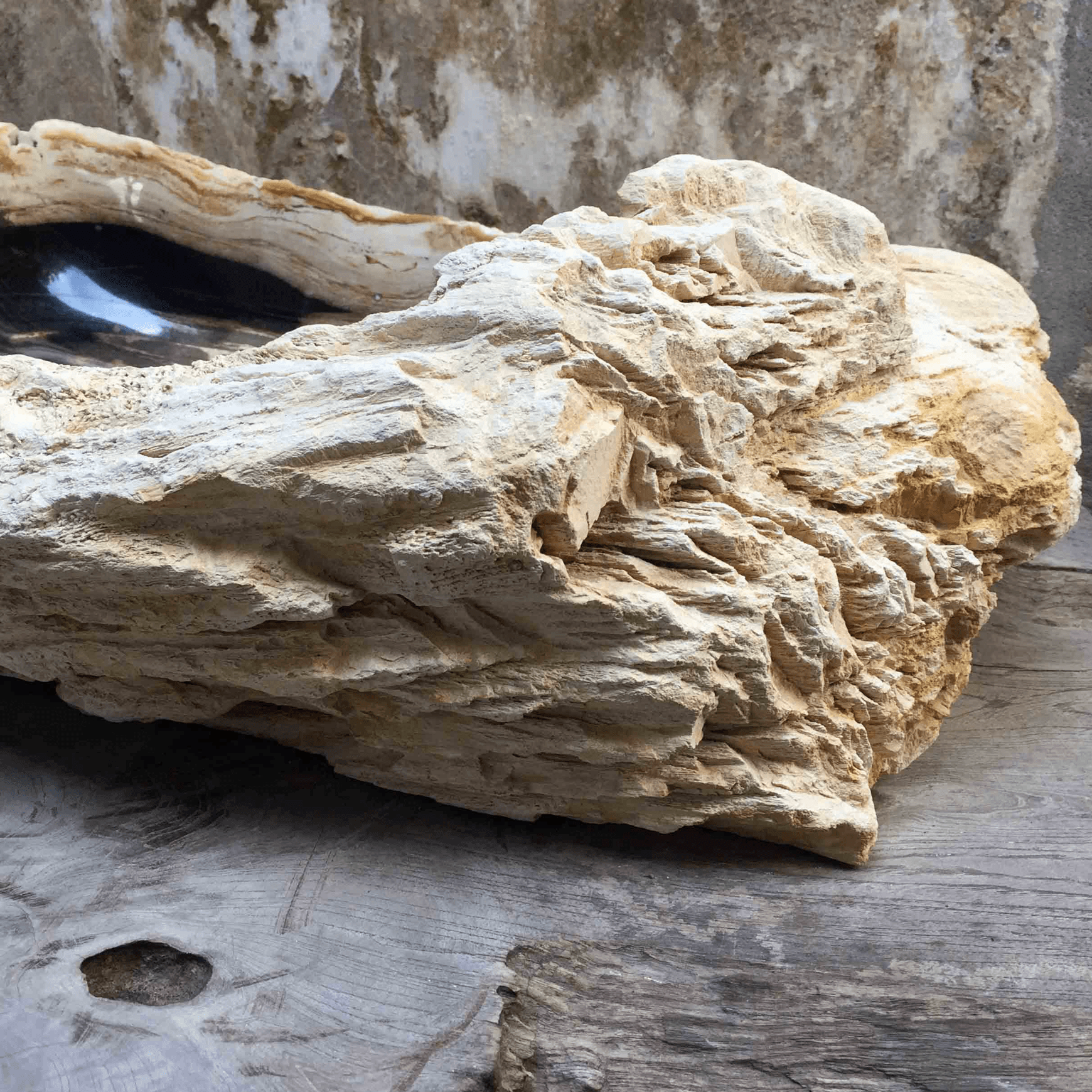 Petrified Wood Stone Basin