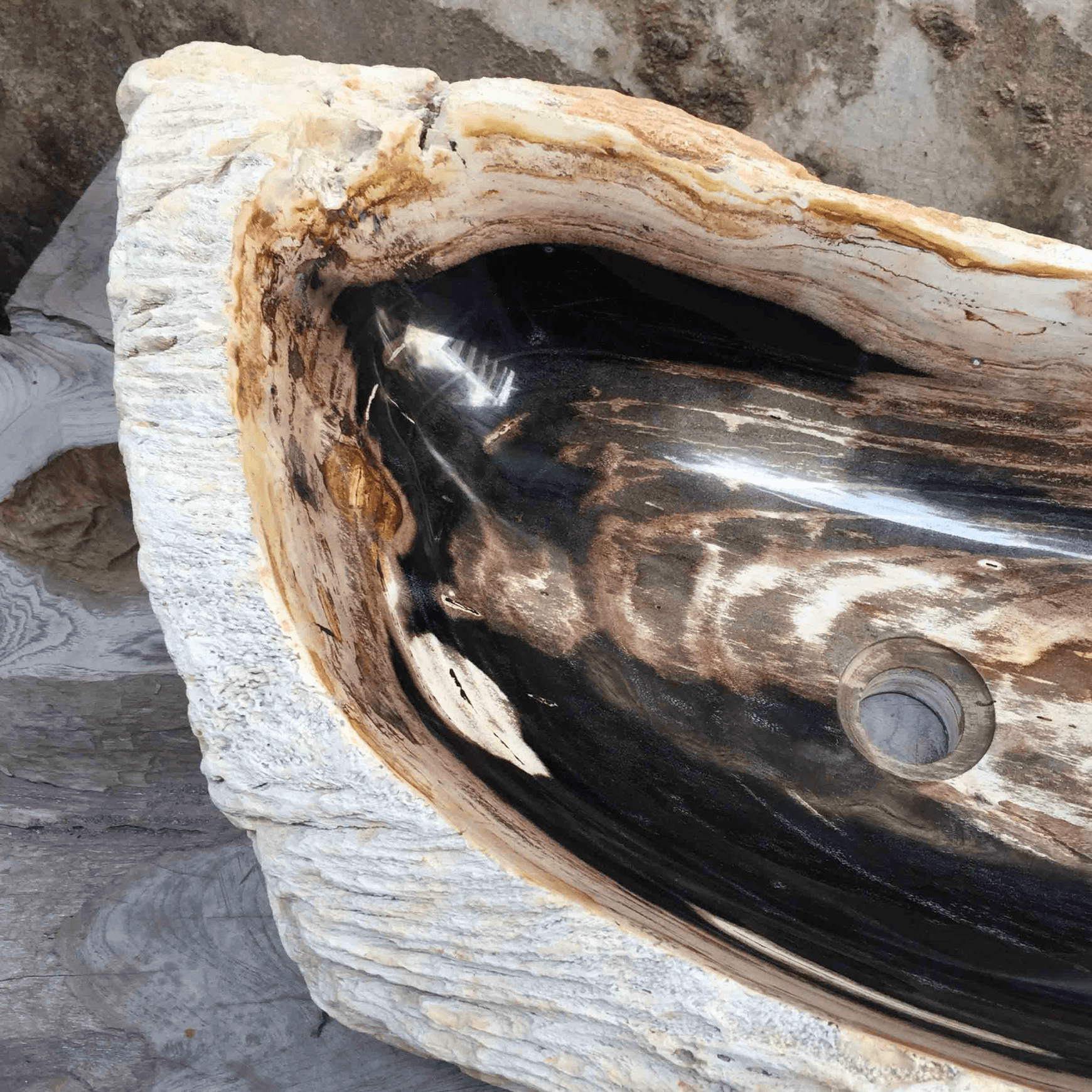 Petrified Wood Stone Basin