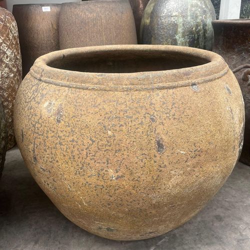 Atlantis - Stewpot Planter