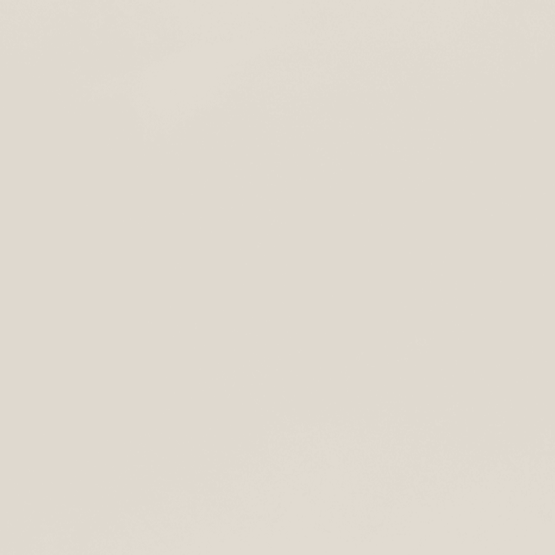 Mineral Paint | Palace White