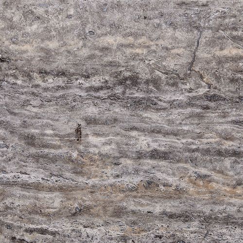 Silver Travertine | Travertine Collection