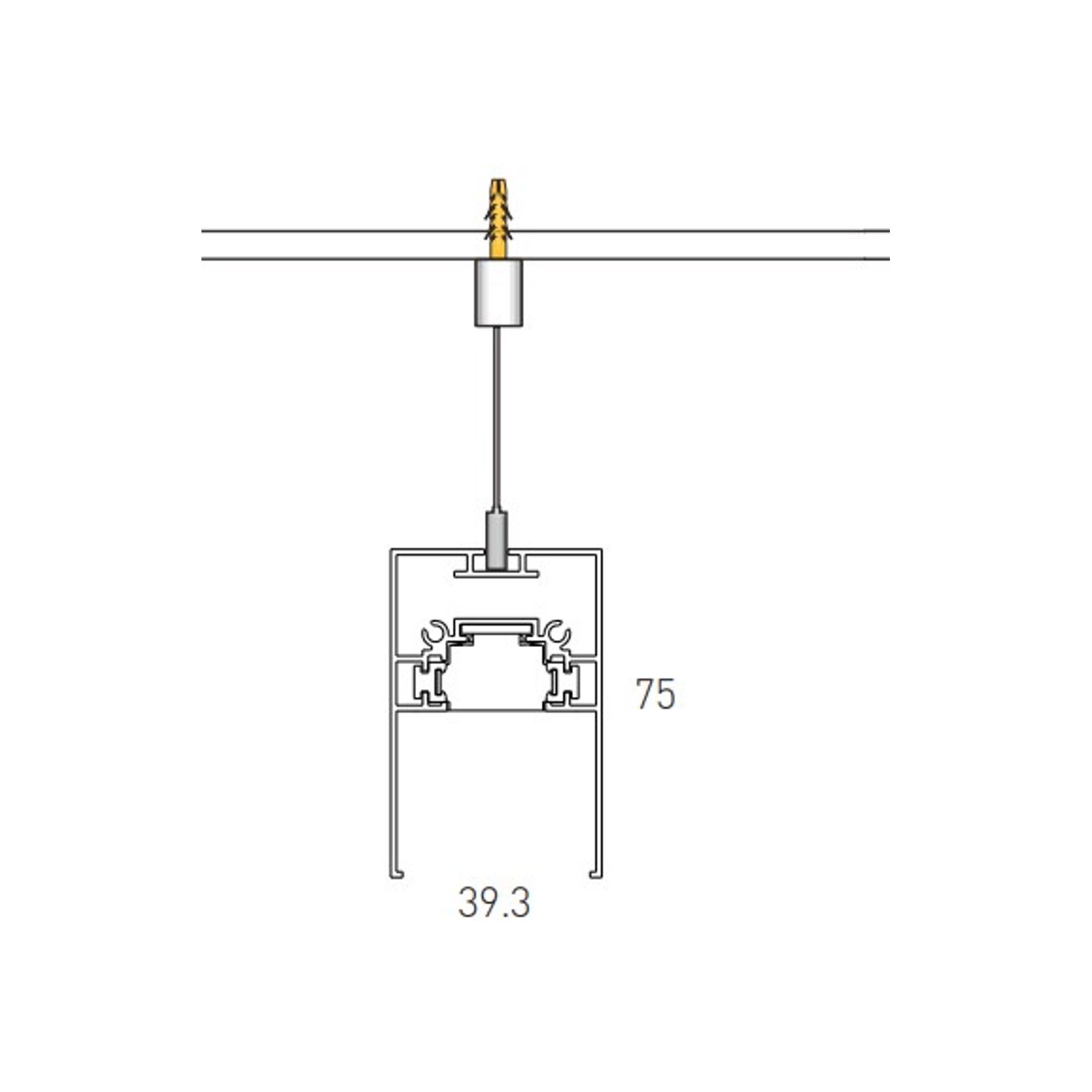Single Circuit Suspended Track
