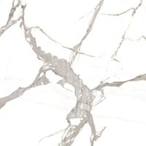 Quantum Porcelain | Statuario (12mm)