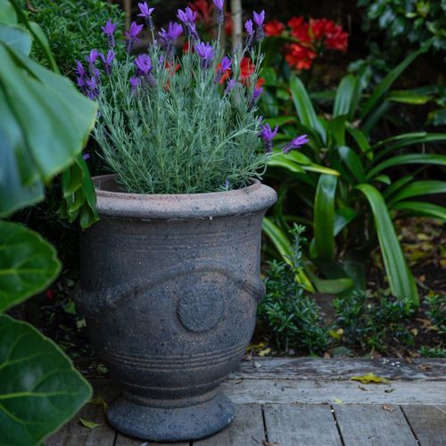 Old Stone - French Urn