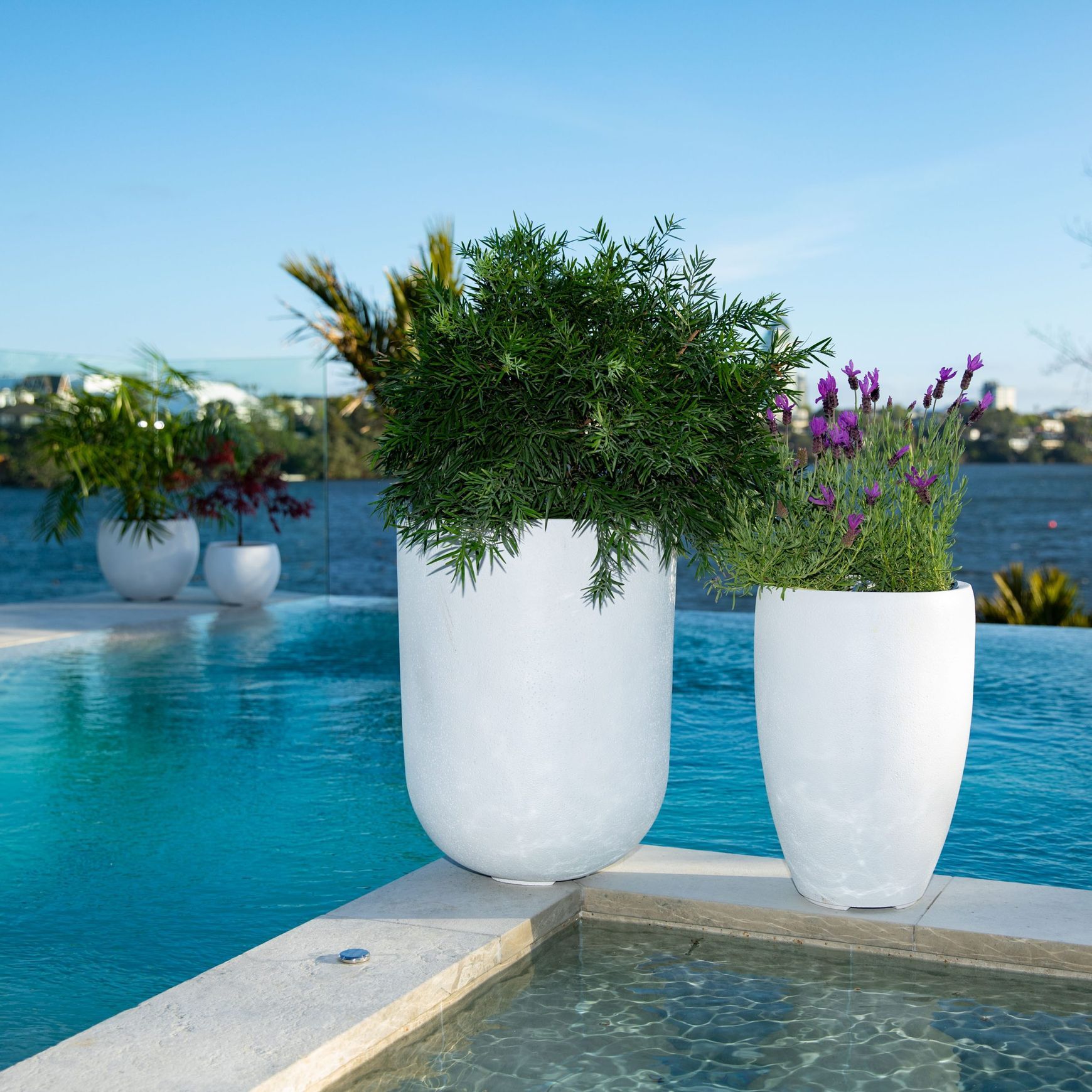 Franoma - Tampa Planter