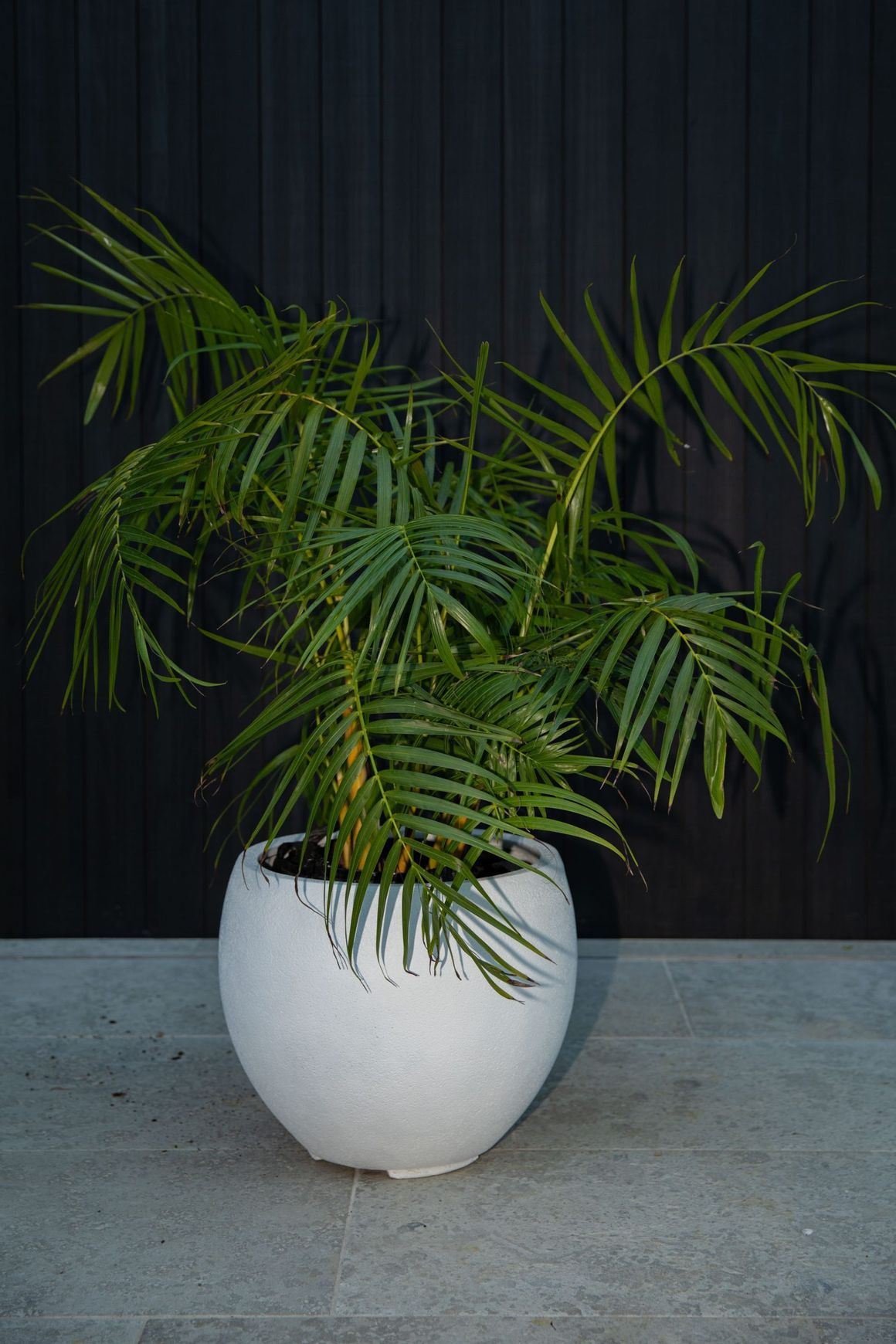 Franoma - Hamilton Planter