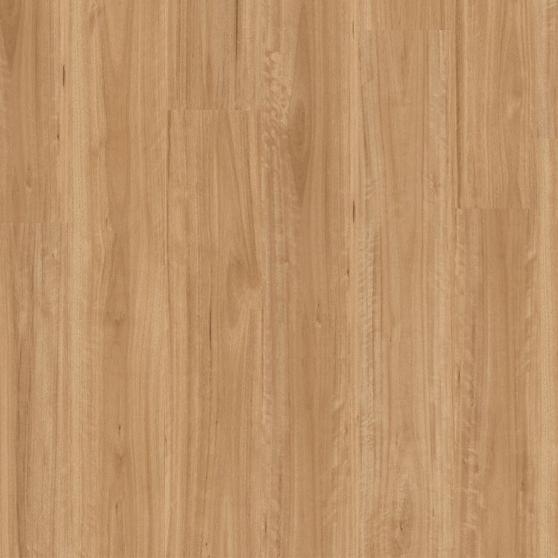 Titan Hybrid Bleached Blackbutt Vinyl Flooring