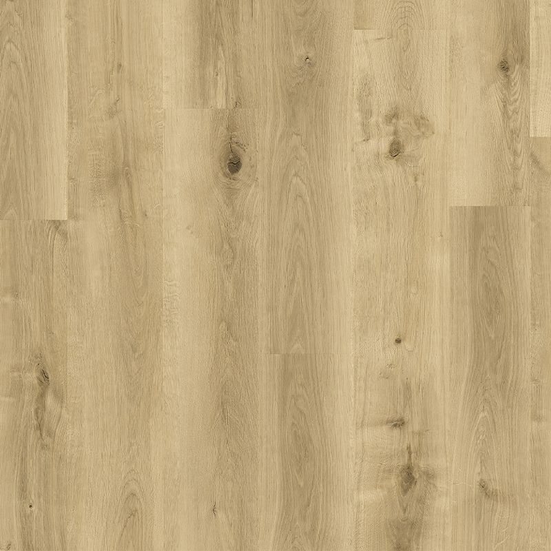 Titan Hybrid Spring Valley Oak Vinyl Flooring