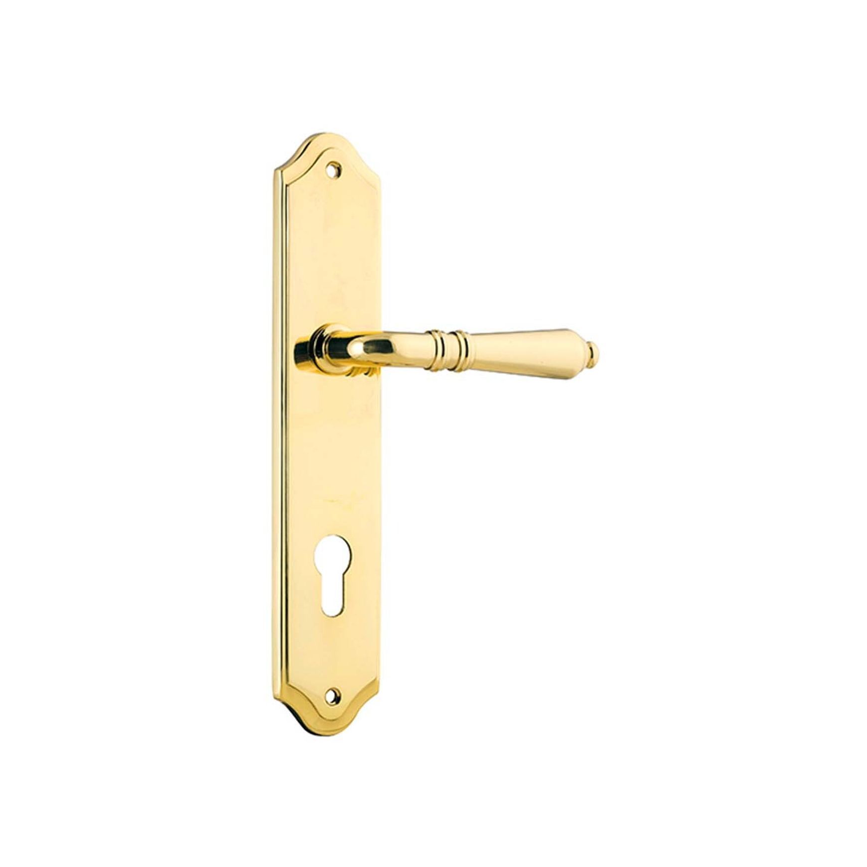 Iver Sarlat Lever on Shouldered Backplate Euro 250mm x 48mm Polished Brass 10212E85