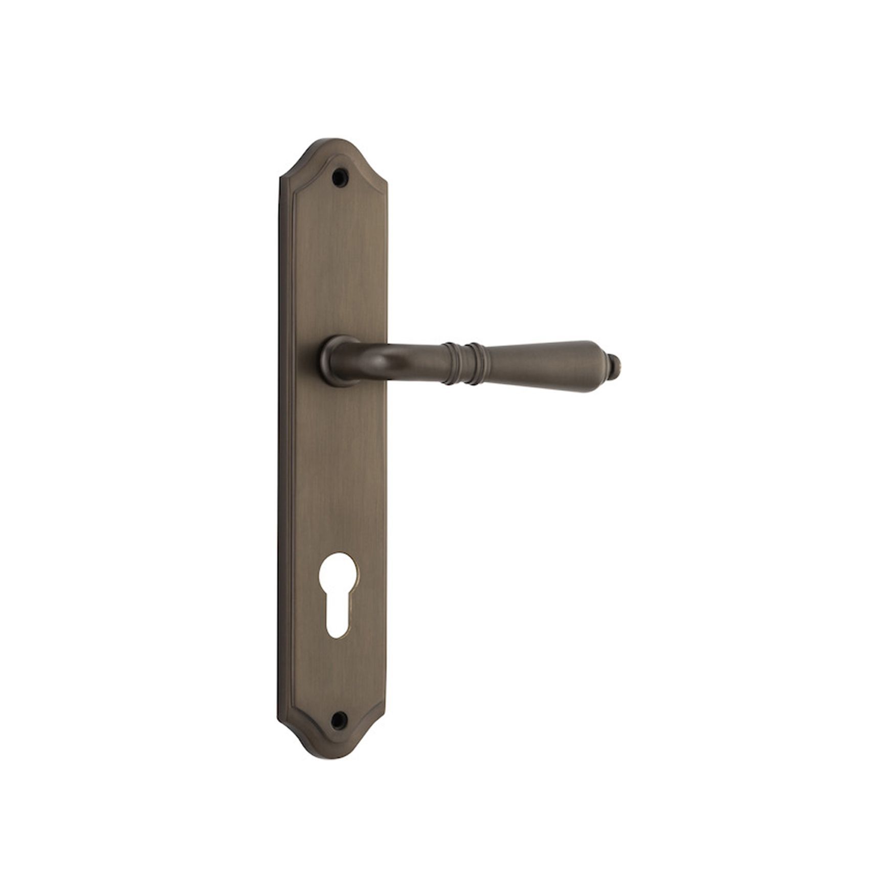 Iver Sarlat Lever on Shouldered Backplate Euro Signature Brass 10712E85 - Customise to your need