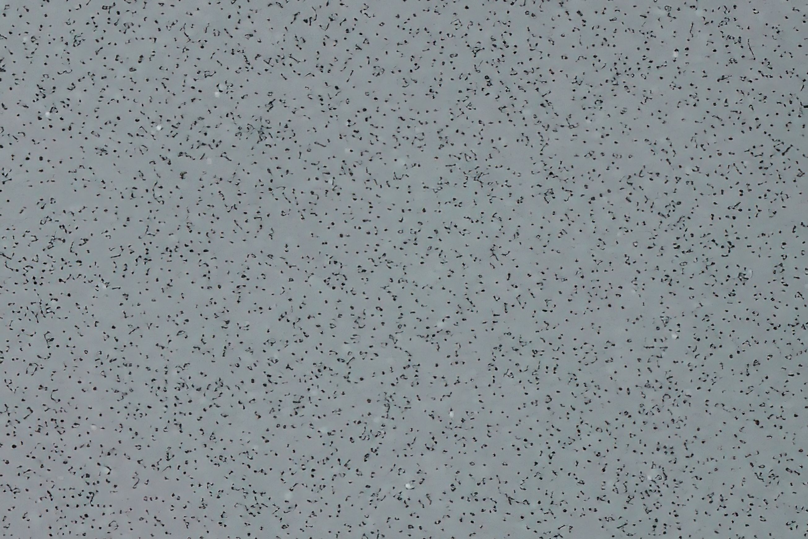 Altro Stronghold™ 30 Adhesive–Free - R12 Flooring