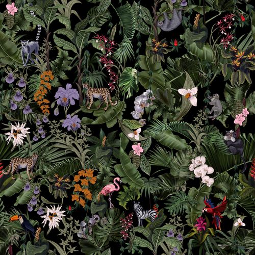 Tropics