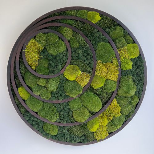 Forest Halo Wall Art by Gaea