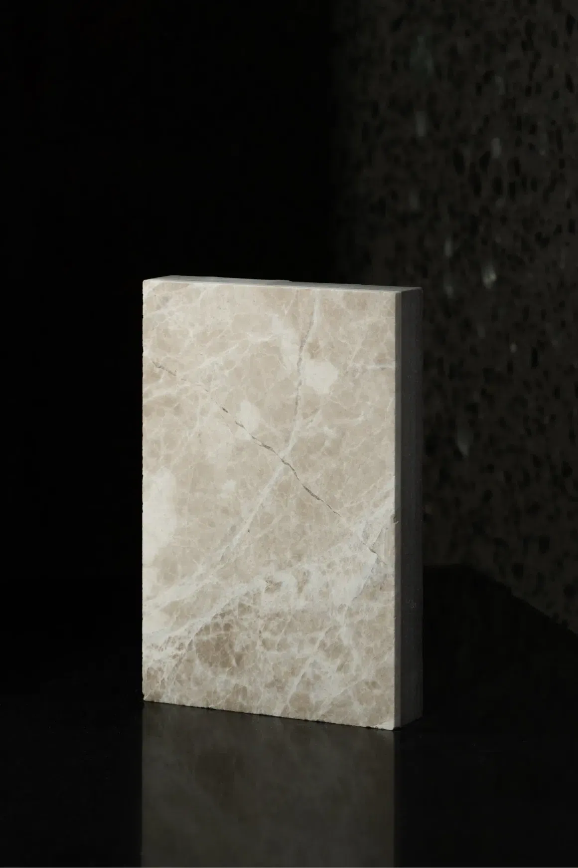 Vanillish Dark Honed Marble Porcelia