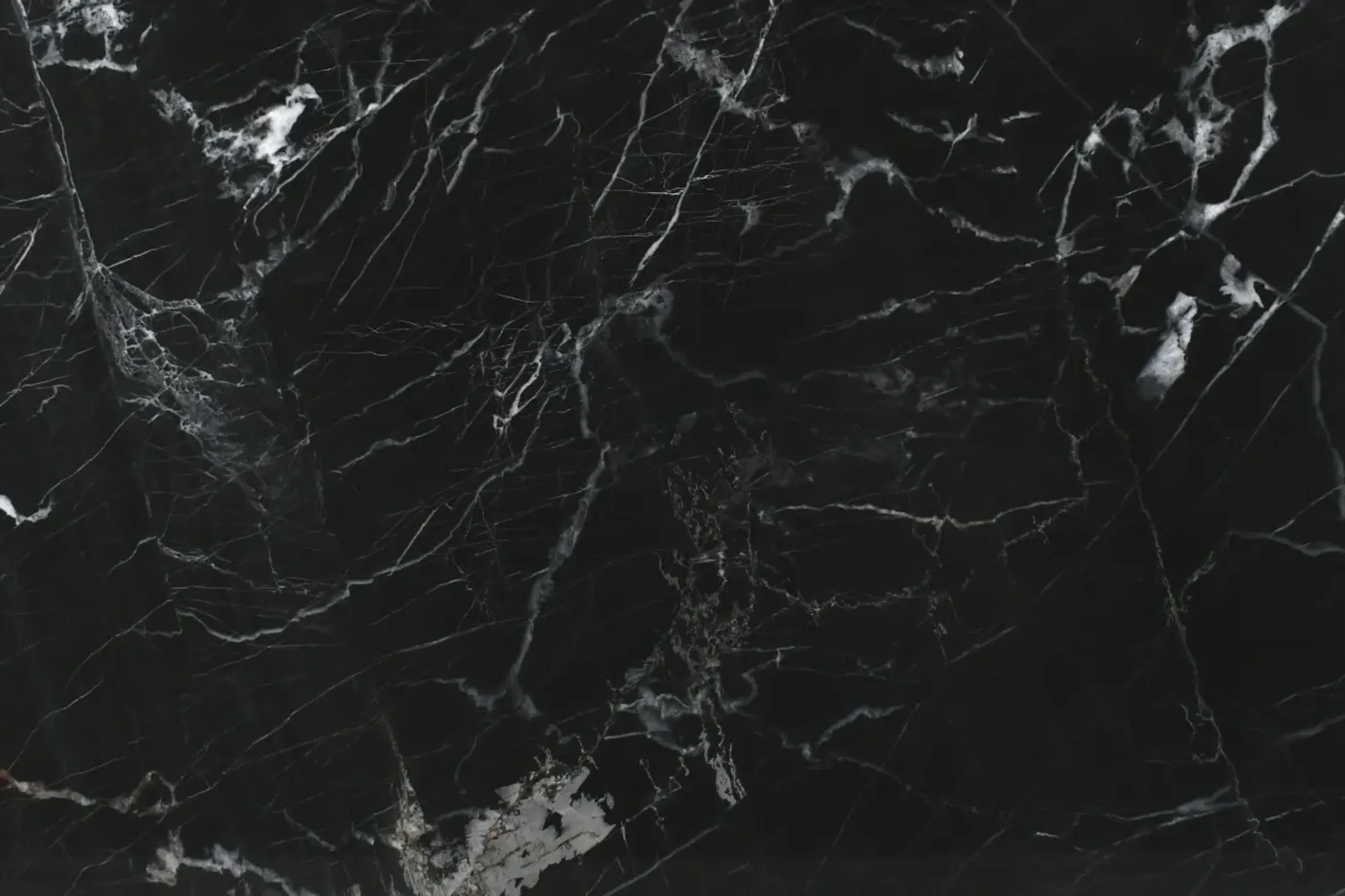 Marquina Quartzite Benchtop
