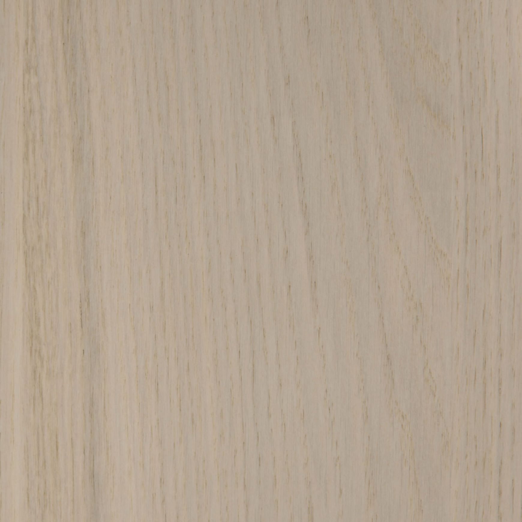 Oak Cool White | Vibrant | Lignapal Panels
