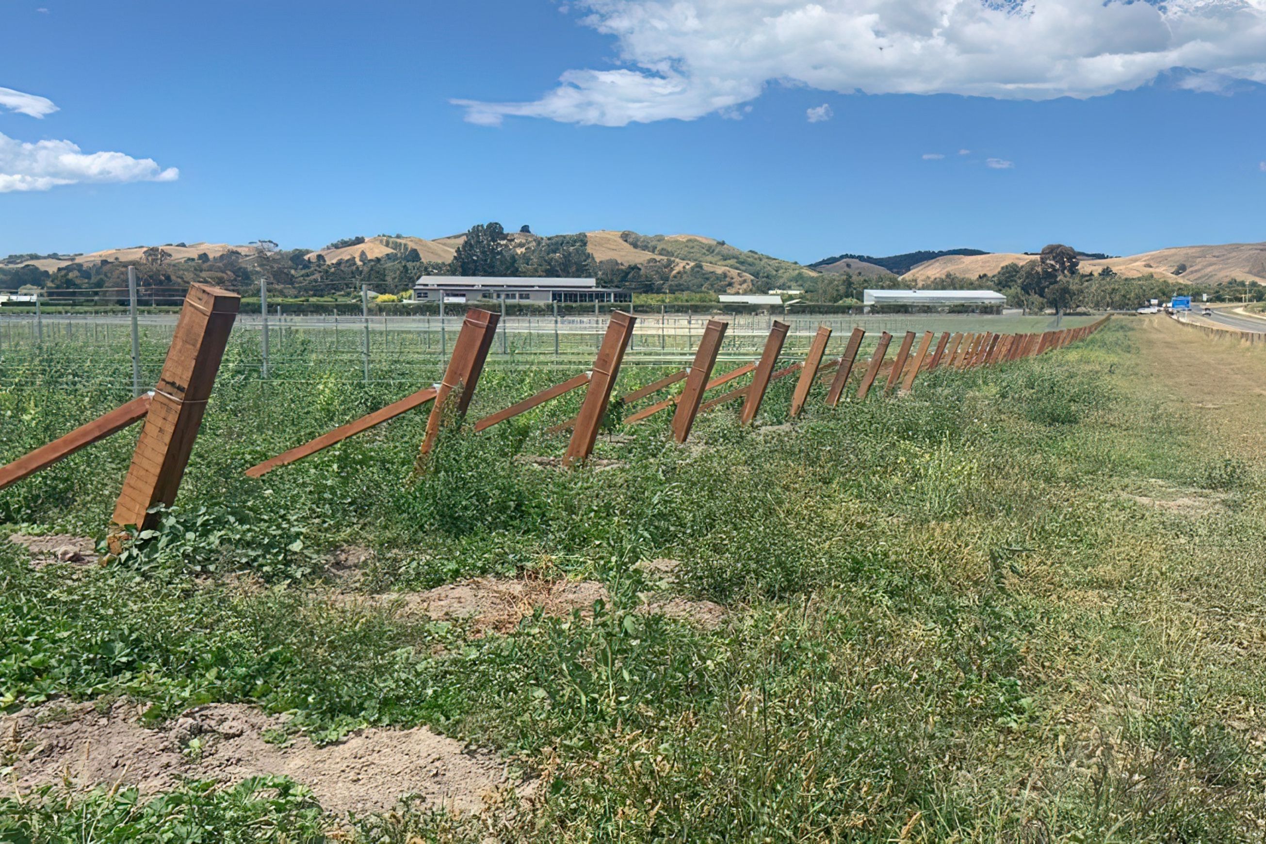 Vineyard Hardwood