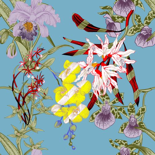 Orchid Stripe | Design