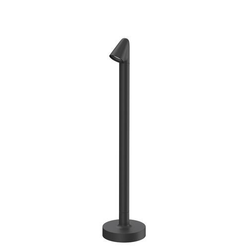 Walkstick