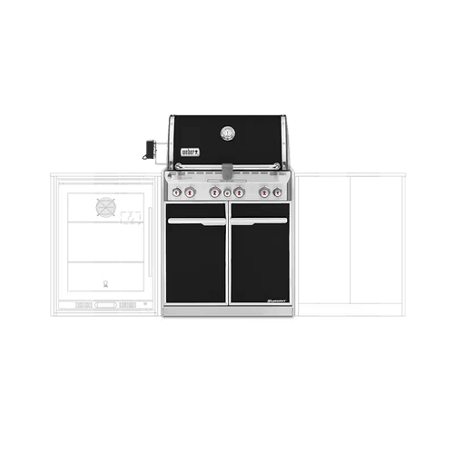 Weber Summit E-460 Built In NG