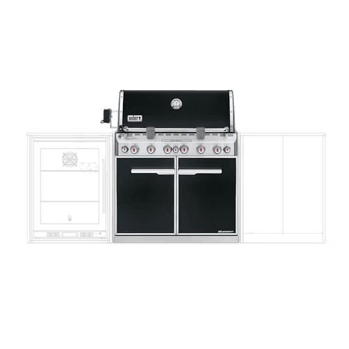 Weber Summit E-660 Built In NG