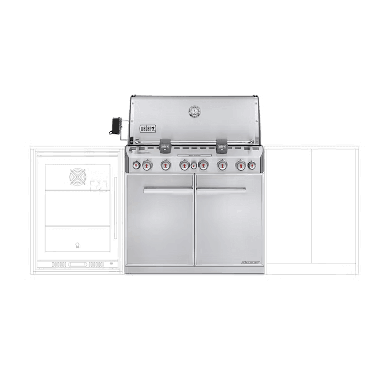 Weber Summit S-660 Built In NG