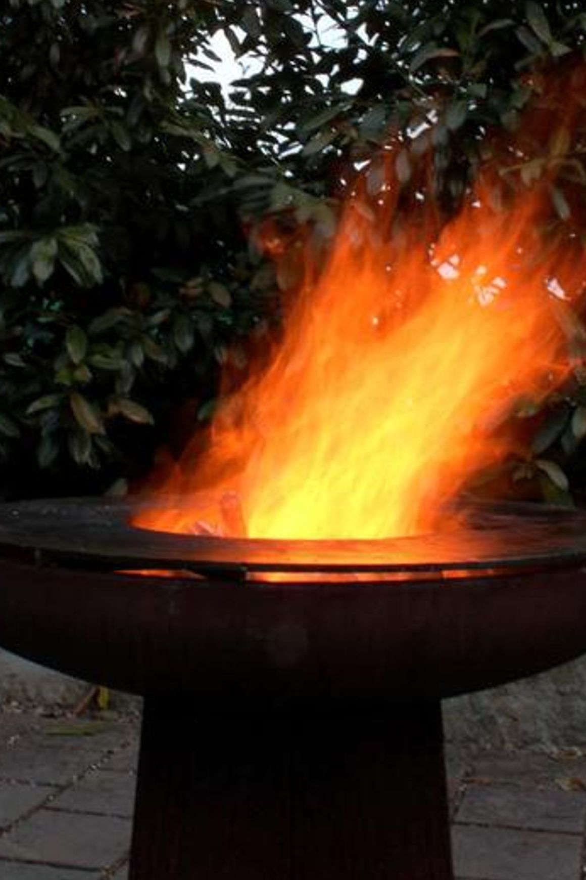 Yagoona Ring Grill BBQ And Goanna Fire Pit 80cm