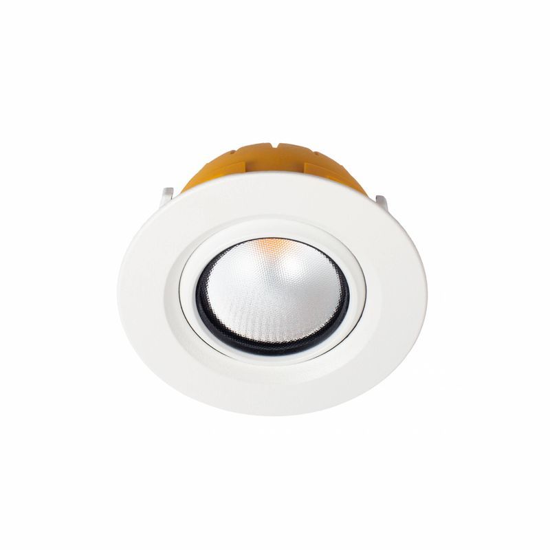 ZELA Tiltz Downlight