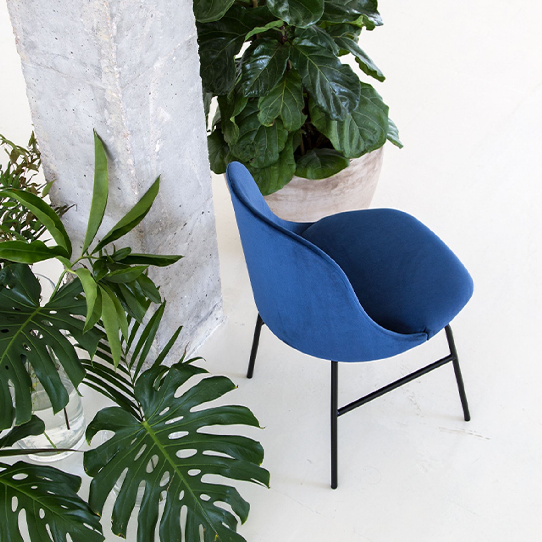 Aleta Chair - Four Metal Legs