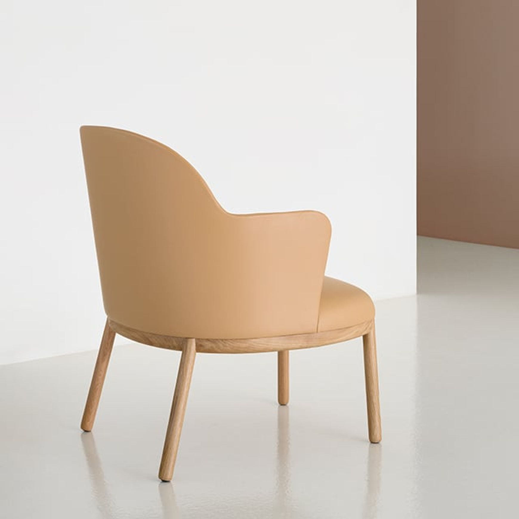 Aleta Lounge Chair - Wooden Base with Arms