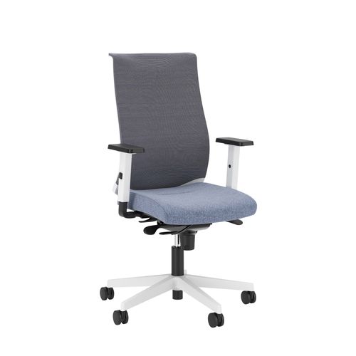 Altum Mesh Task Chair