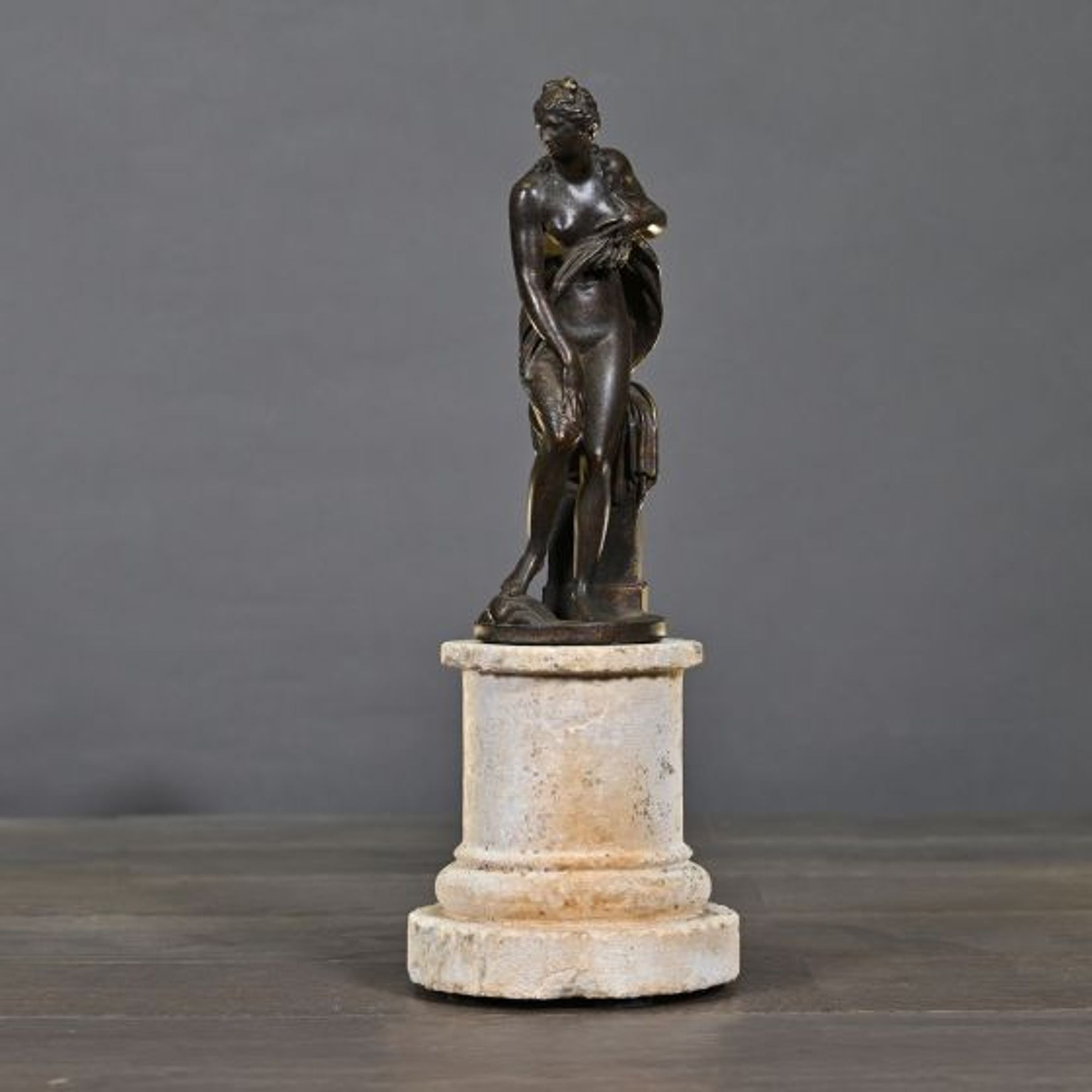 Bathing Venus