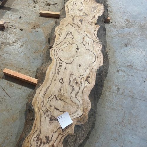 Eucalyptus Slabs