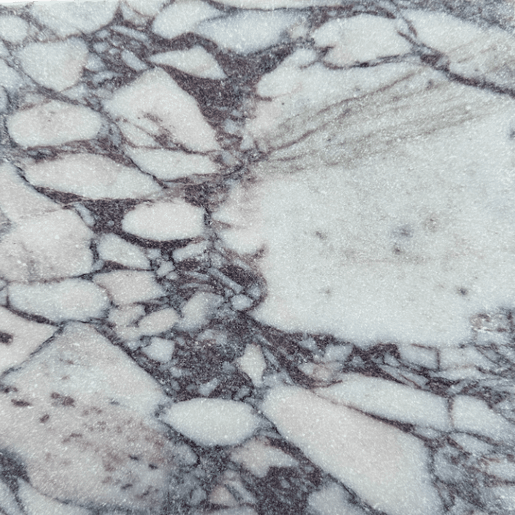 Calacatta Viola Tumbled Tile 200x200