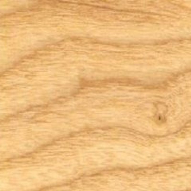 American White Ash