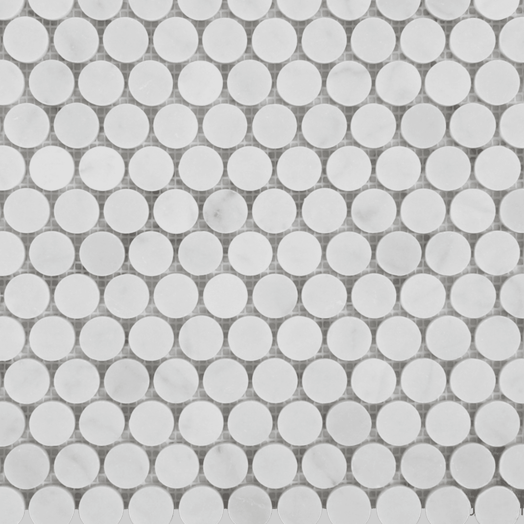 Carrara Penny Round Honed