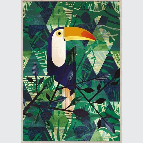 Framed Canvas Art - Toucan