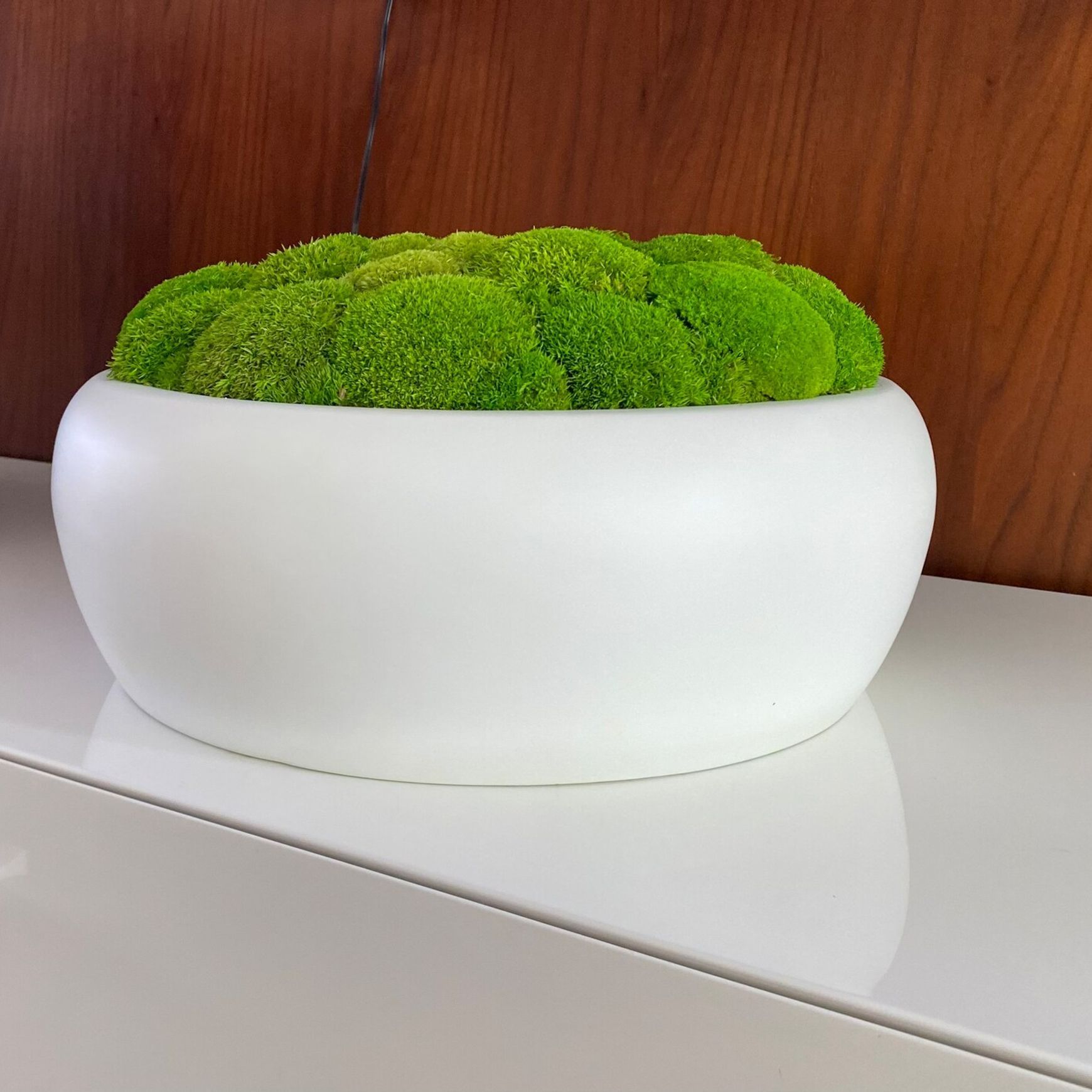 Moss Bowls