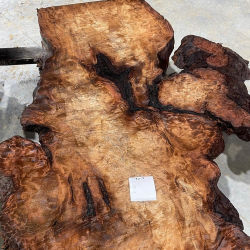 Swamp Kauri Slabs