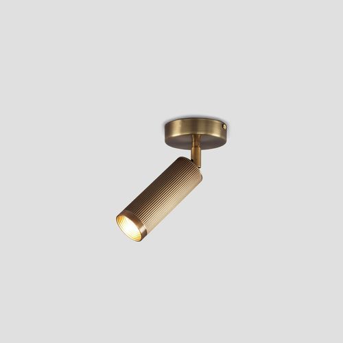 Spot Ceiling Light