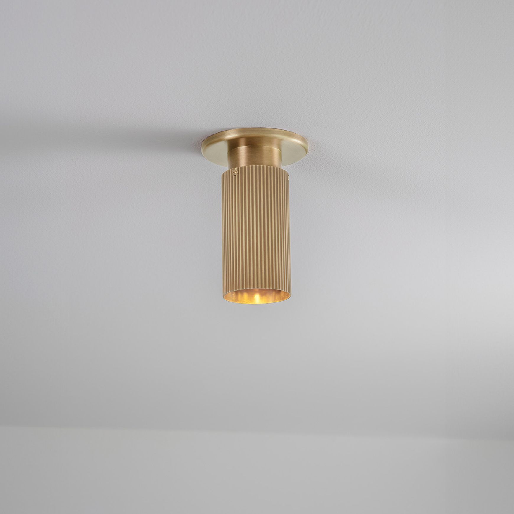 Spot Pro Mini Ceiling Light