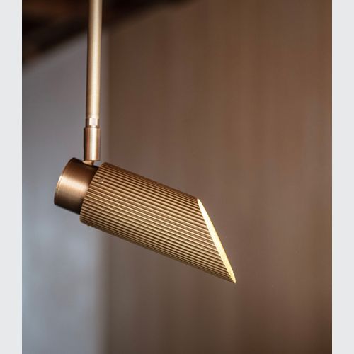 Spot Pro Ceiling Light