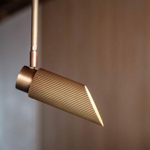 Spot Pro Ceiling Light