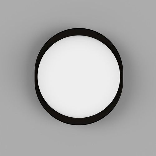 Bode Round Wall/Ceiling Light