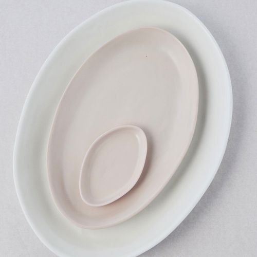 Fish Dish