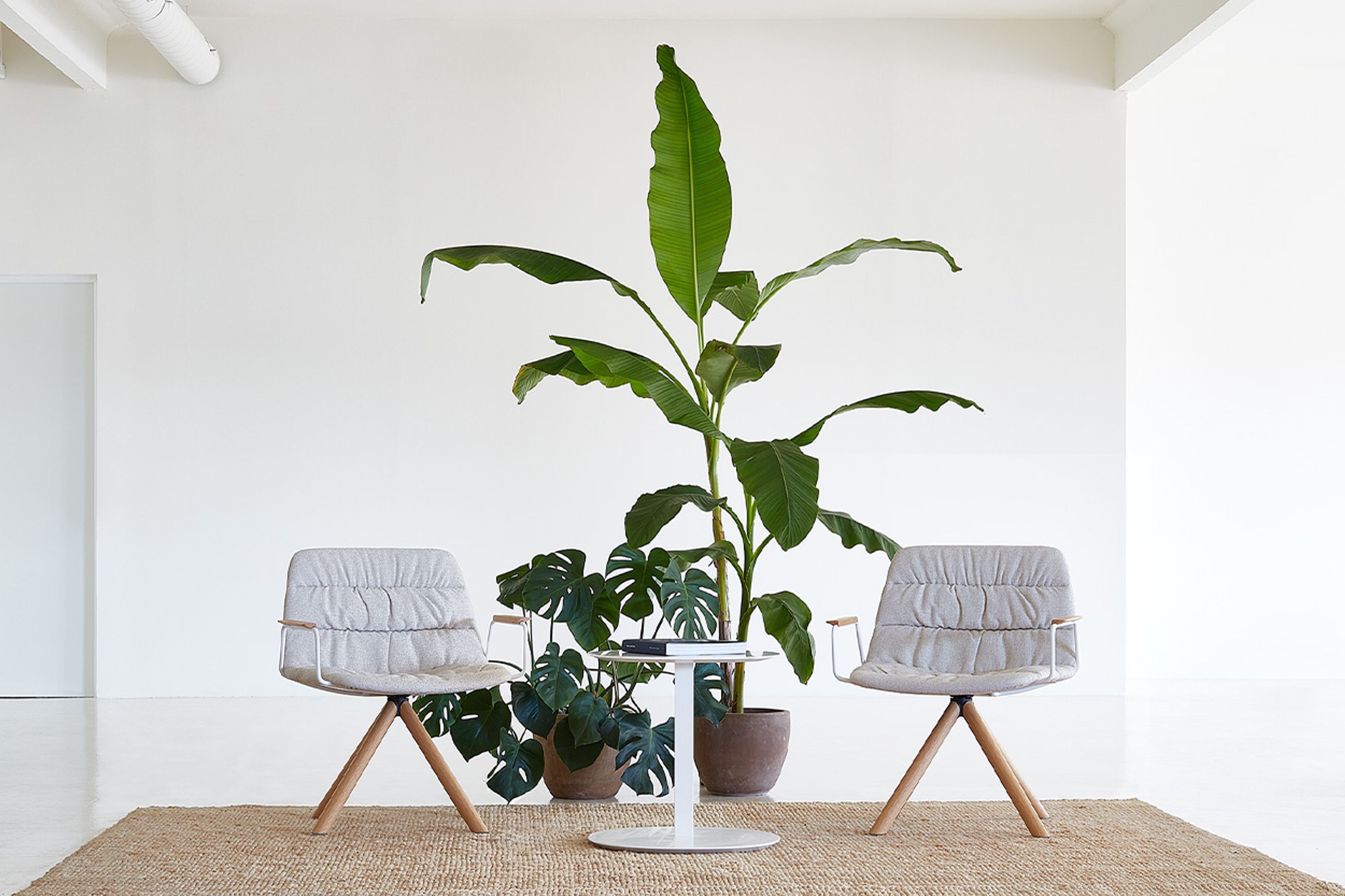 Maarten Lounge Chair - Wooden Swivel Base & Soft Upholstery