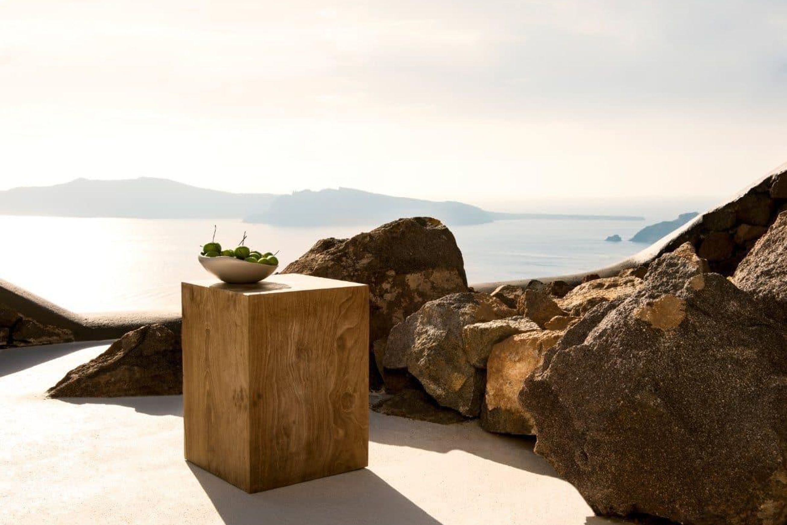 Roots Side Table