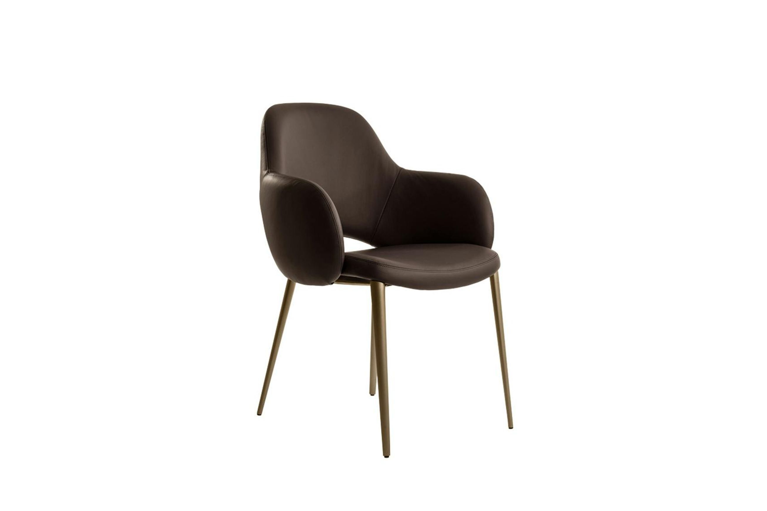 Silhouette Dining Chair